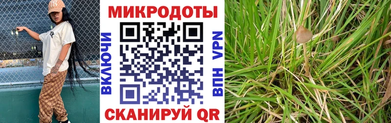 Галлюциногенные грибы мухоморы  mega ONION  Афипский 